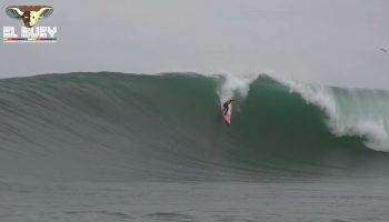 EL BUEY SANTOS DEL MAR 2022