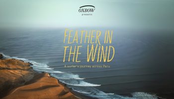 FEATHER IN THE WIND