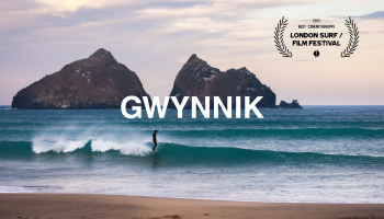 GWYNNIK_result