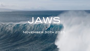 JAWS (1)