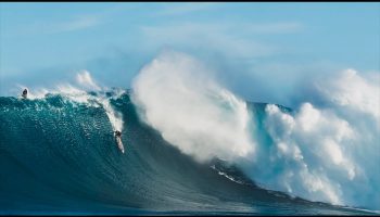 JAWS---Nathan-Florence