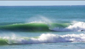 JUANJO-FERNANDEZ-YERBABUENA