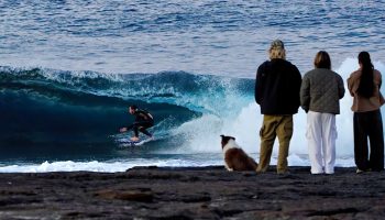 MASON HO