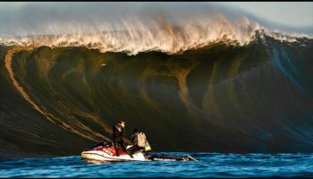 MAVERIKS---California