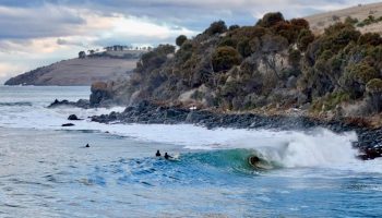 MEANWHILE IN TASMANIA…
