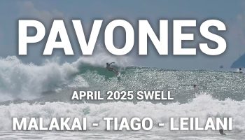 PAVONES