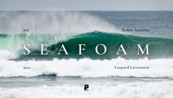 SEAFOAM_result