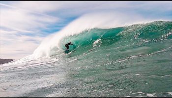 SOPELINE-SKATERGORIS