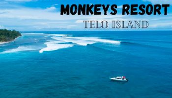 SURFING-AT-MONKEYS-RESORT