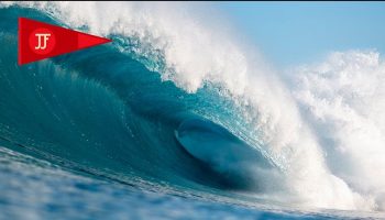 THE-ONES-THAT-GOT-AWAY