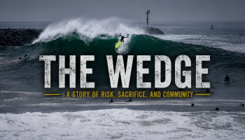 THE WEDGE_result