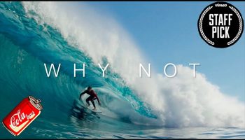 WHY-NOT---GRIFFIN-COLAPINTO