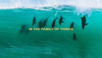 IN THE FAMILY OF THINGS