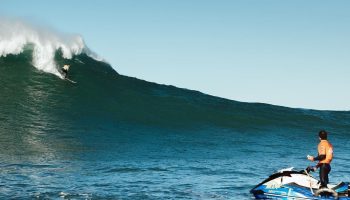 la-vaca-jose-dopico (2)