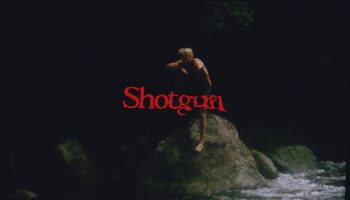 shotgun